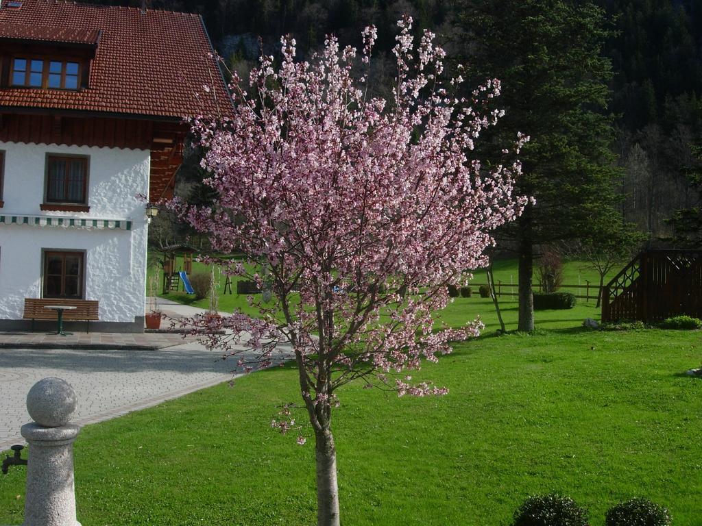 Vila Schmiedbauernhof Fuschl am See Exteriér fotografie